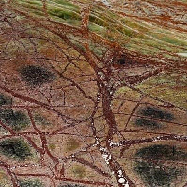 Rainforest Brown yüzeyi yakın plan
