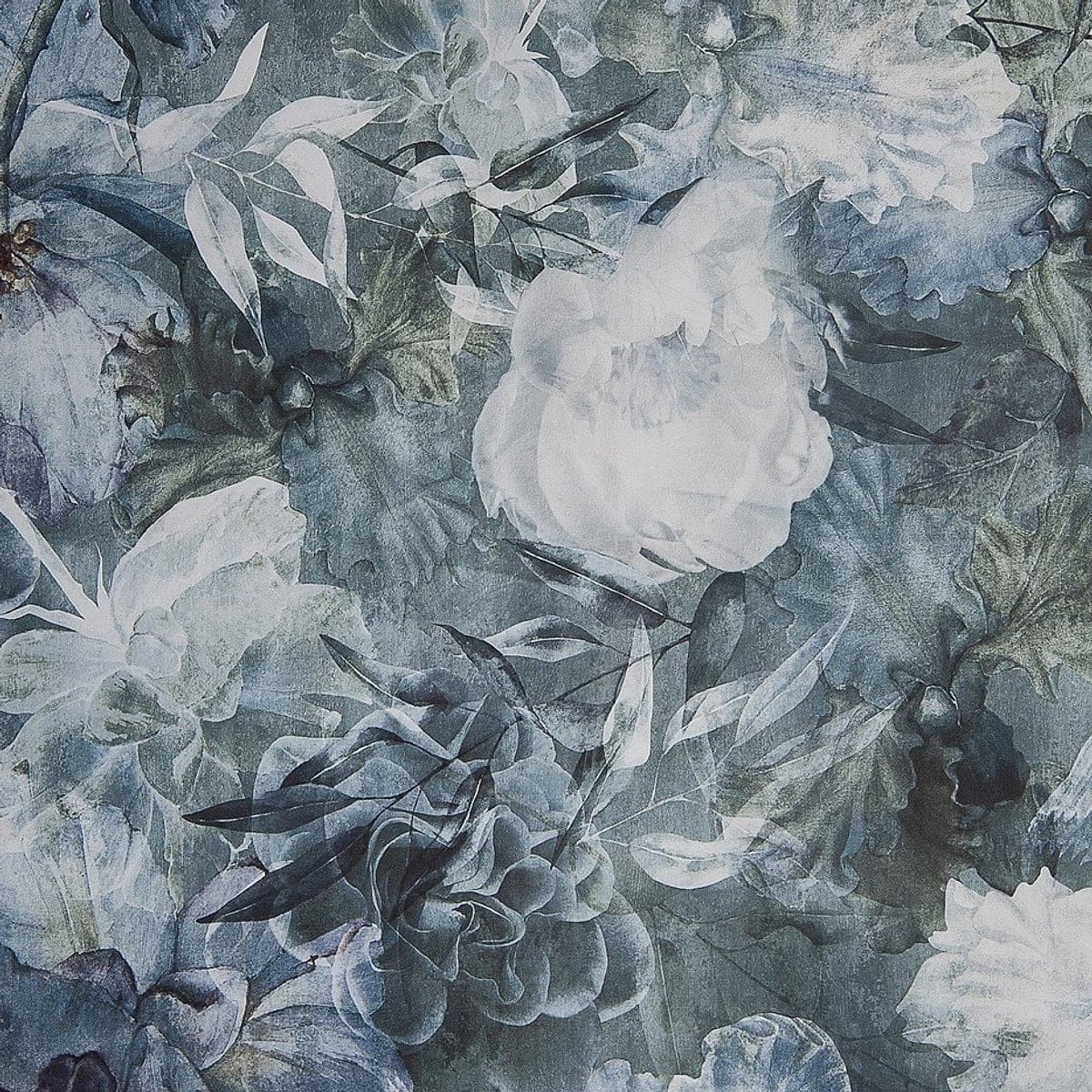 Blue Blossoms yüzeyi yakın plan